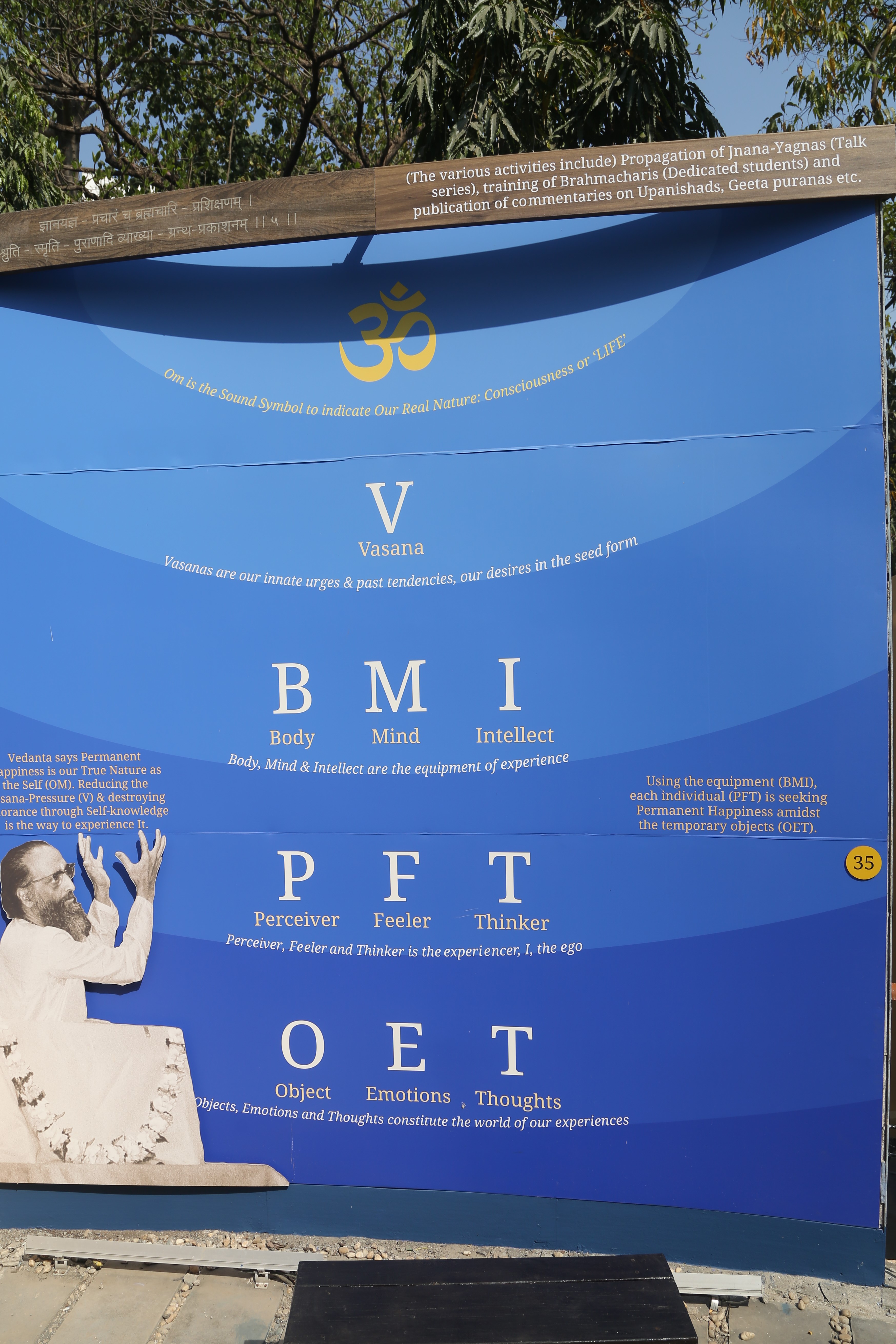 BMI Chart Panel